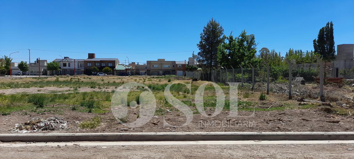 Terreno 653 m² B° Rincón Lindo - Cipolletti 2