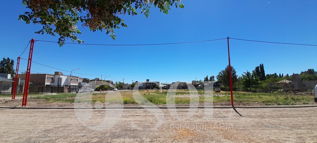 Terreno 653 m² B° Rincón Lindo - Cipolletti 1