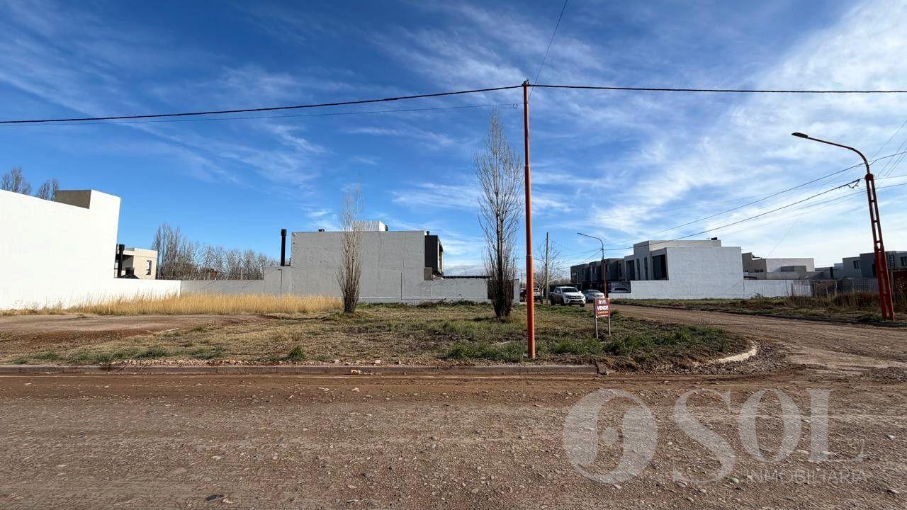 Foto de En venta terreno en esquina 375 m2 - Loteo Ayres del Valle - Cipolletti, imagen 5