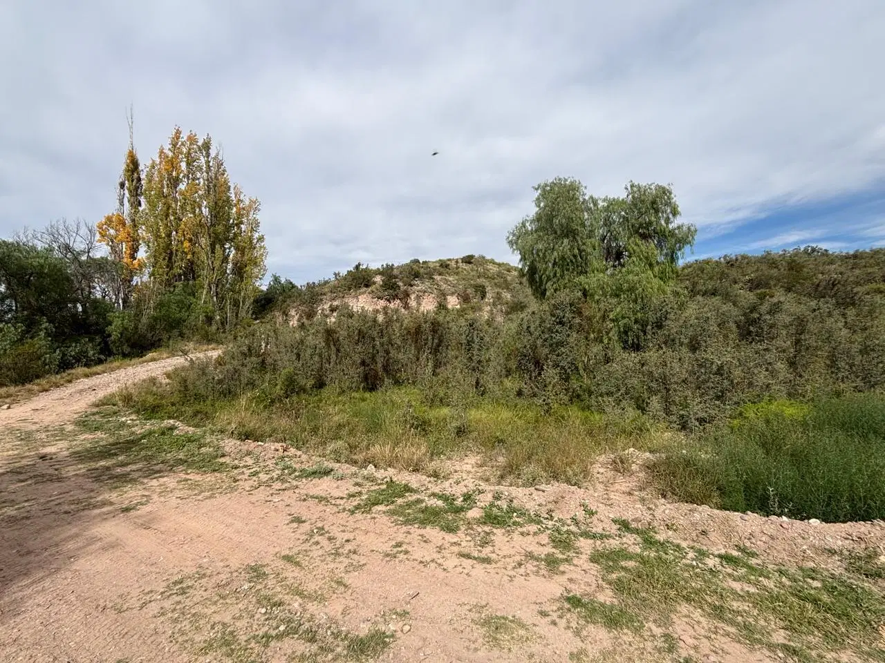 Terreno en Lujan De Cuyo 3