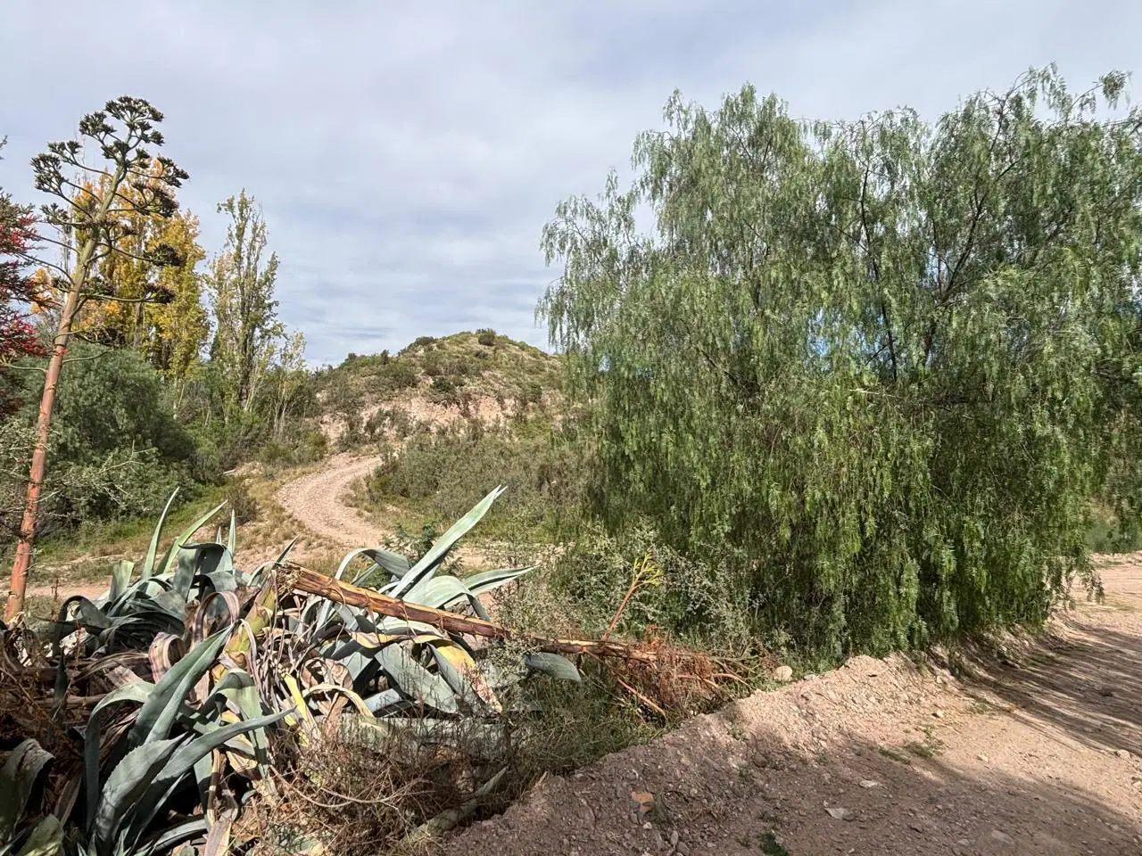 Terreno en Lujan De Cuyo 5