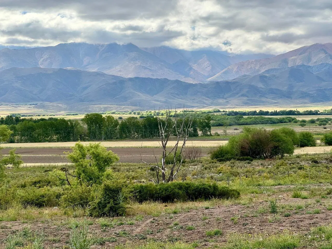 Lote de 1ha en Estancia los Coirones - Servicios en Puerta - La Carrera 3
