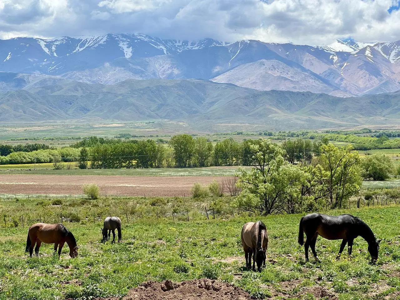 Lote de 1ha en Estancia los Coirones - Servicios en Puerta - La Carrera 4