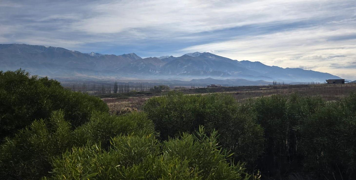 Lote de 1ha en Estancia los Coirones - Servicios en Puerta - La Carrera
