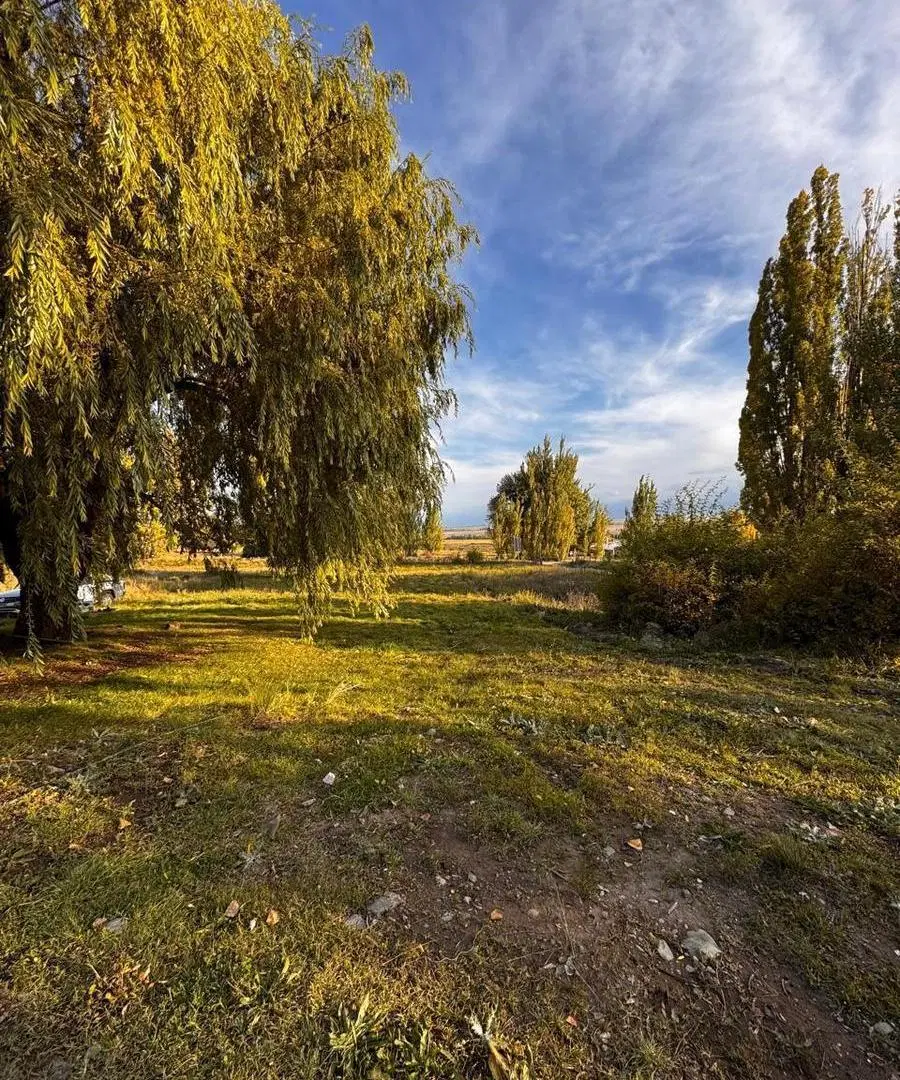 Galpón en Alquiler Comercial y Gastronómico – Ruta 89, La Carrera 5