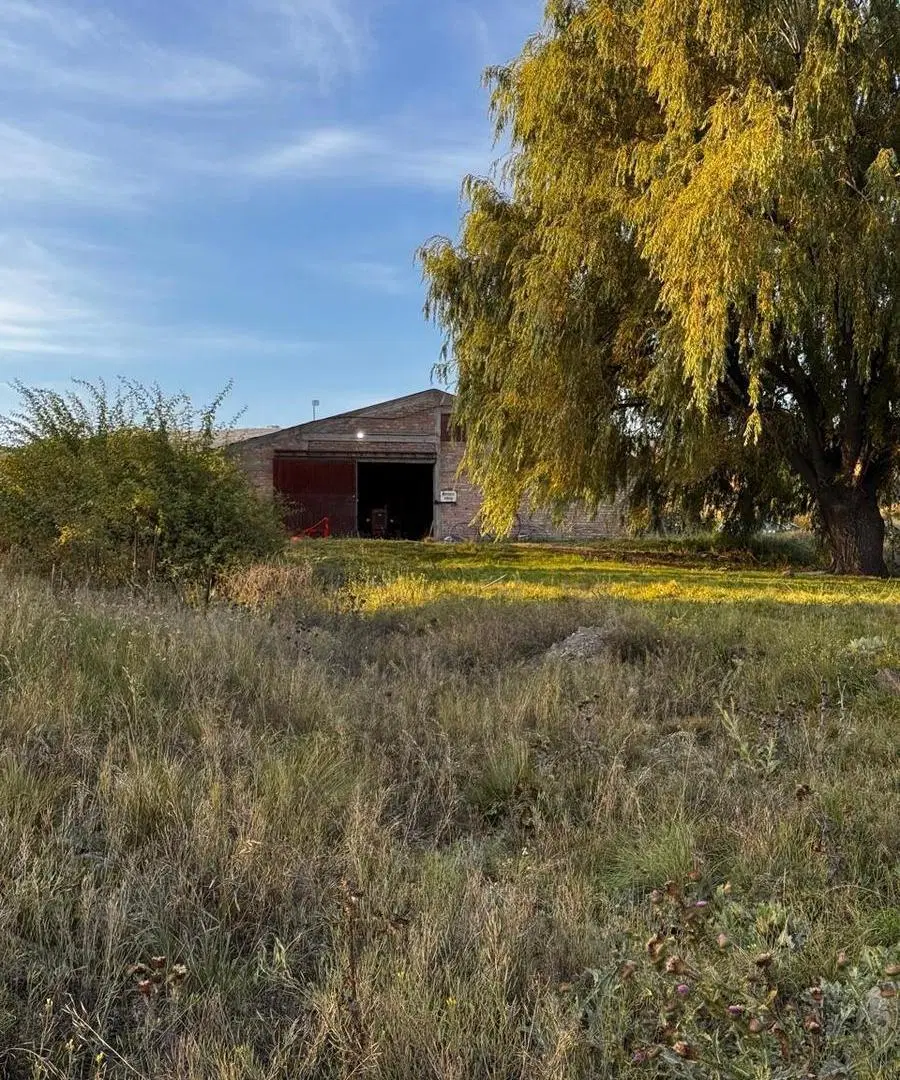 Galpón en Alquiler Comercial y Gastronómico – Ruta 89, La Carrera 8