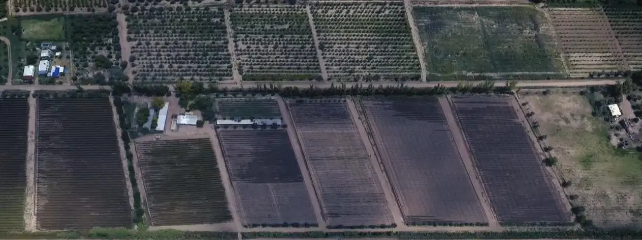 Finca en Distrito Barriales 5