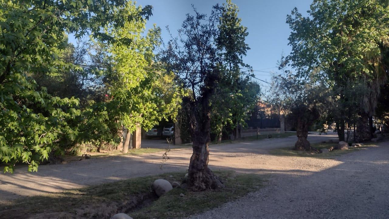 Foto de Casa en Chacras de Coria, imagen 2