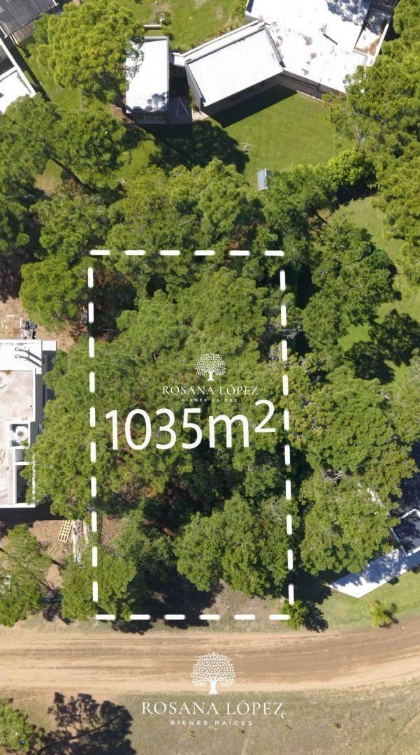 Foto de Lote . | Boulevard Alamos, imagen 3