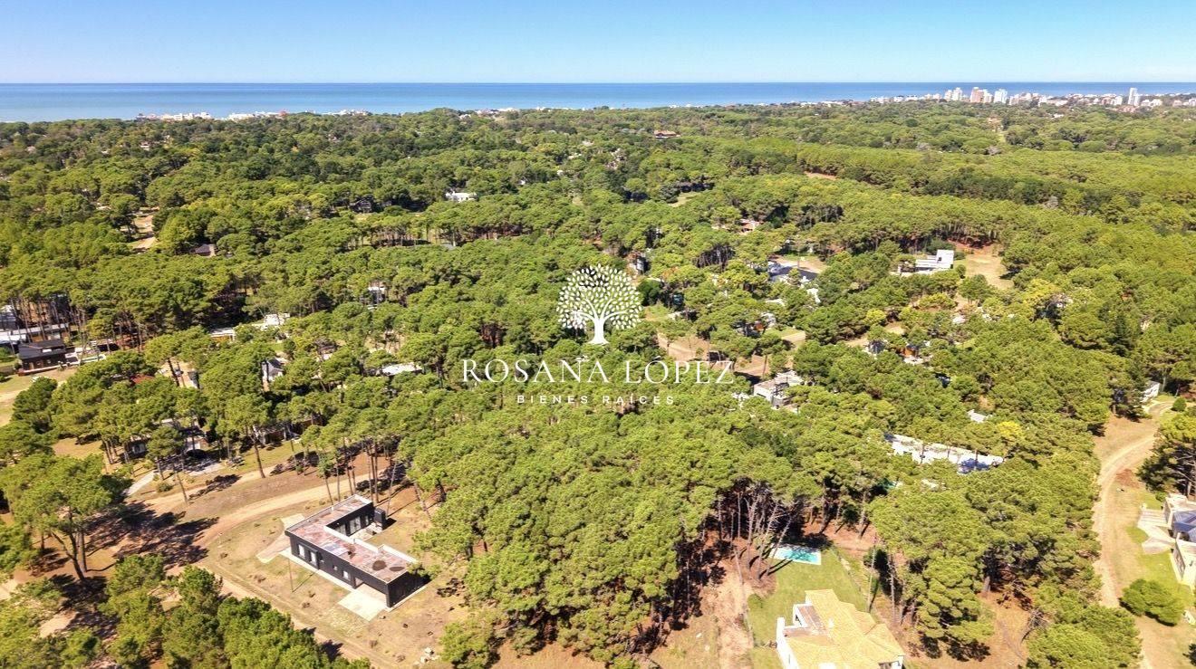 Foto de Lote . | Boulevard Alamos, imagen 4