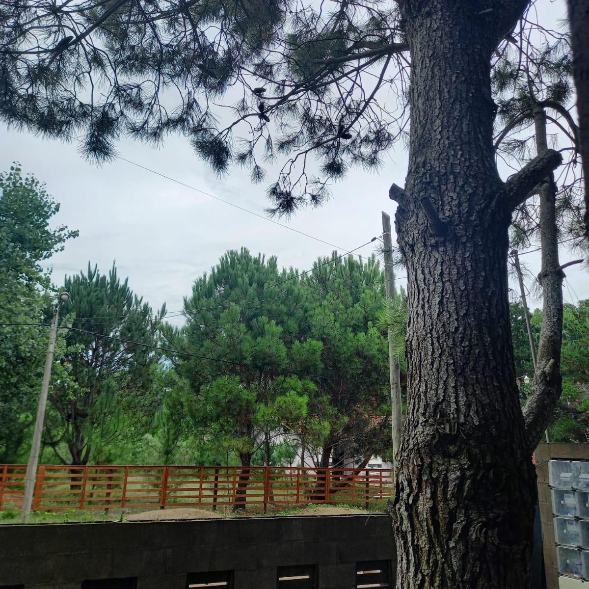 Casas Cubo Aguas Verdes 2 Partido de La Costa Proyectos en Pozo 2024 4