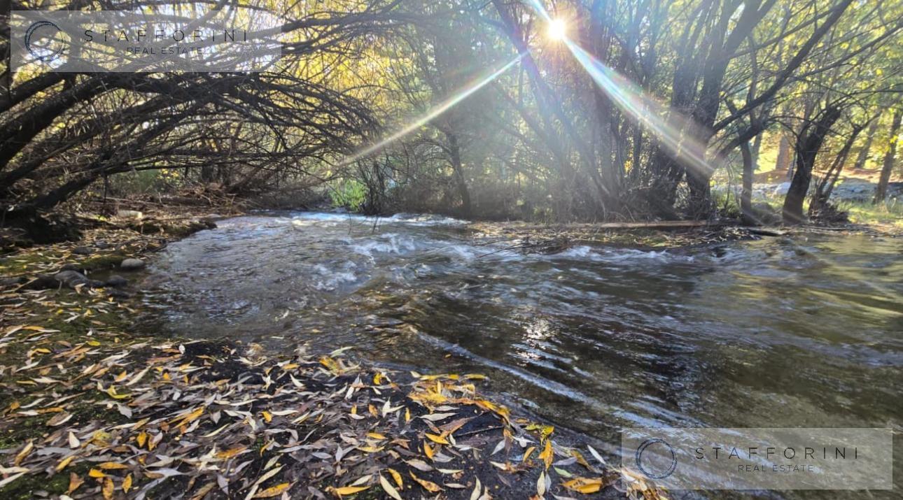 Foto de Chacra en el Bolson Rio Negro, imagen 2