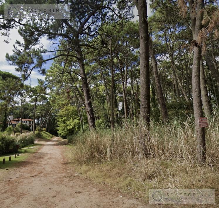 Foto de TERRENO/S EN DIVISADERO Y LAPACHO, CARILÓ, imagen 3