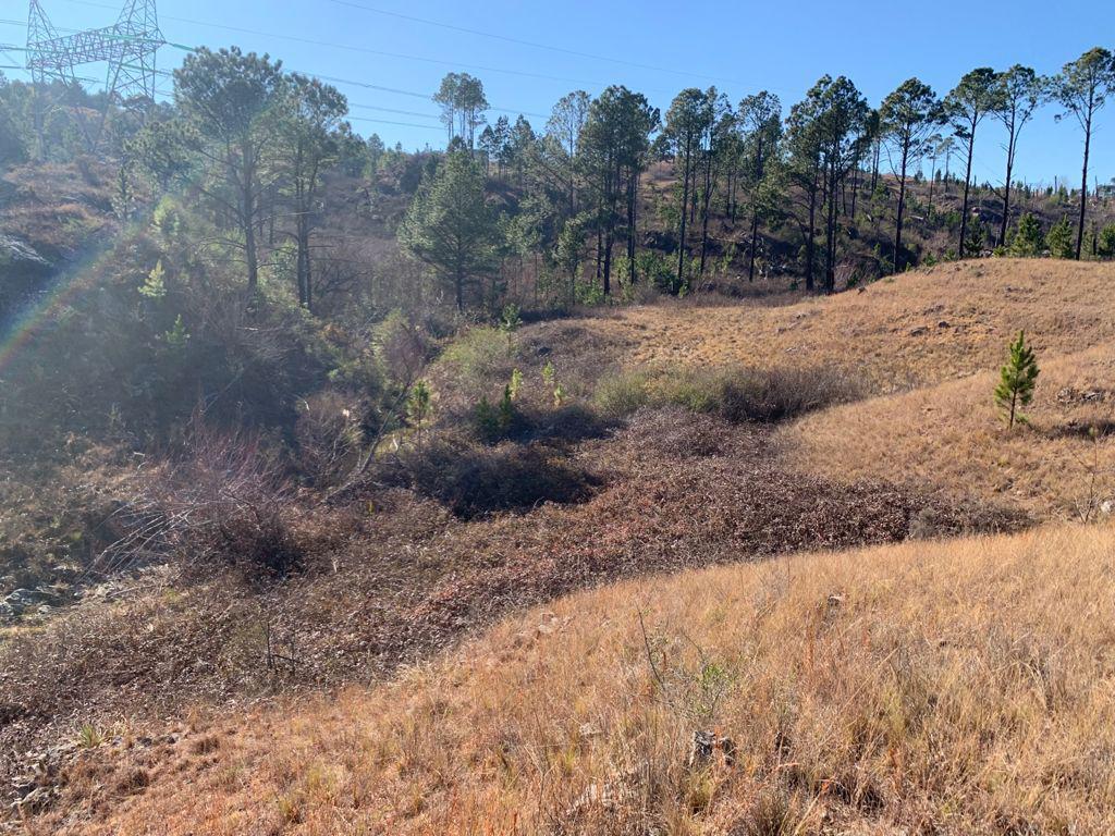 Terreno en Yacanto Calamuchita 3