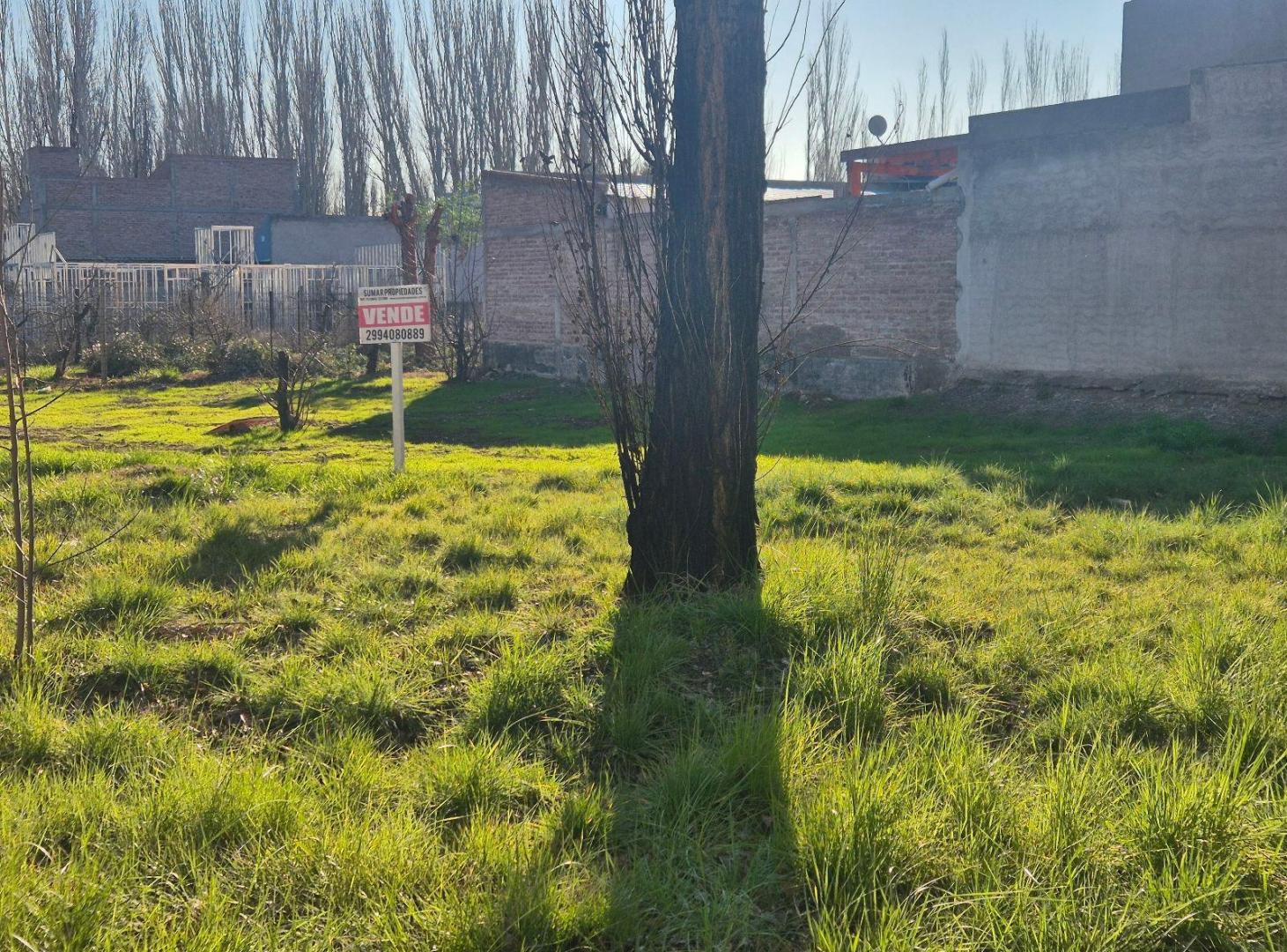Foto de Terreno - Plottier, imagen 2