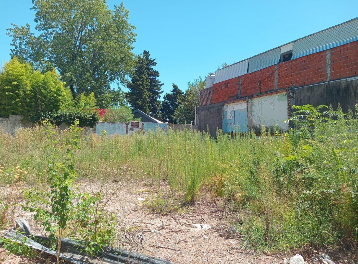 Foto de Muy Buenos Lotes Comerciales en el Bajo de San Isidro, imagen 2