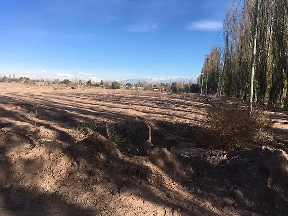 Lote en Venta - Maipú - Mendoza 1
