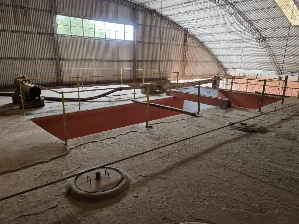 Bodega en Venta - San Roque - Mendoza 3