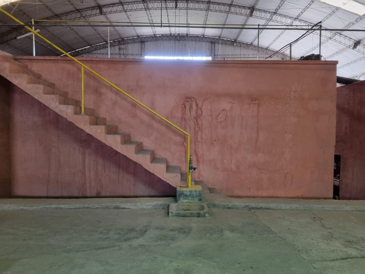 Bodega en Venta - San Roque - Mendoza 2