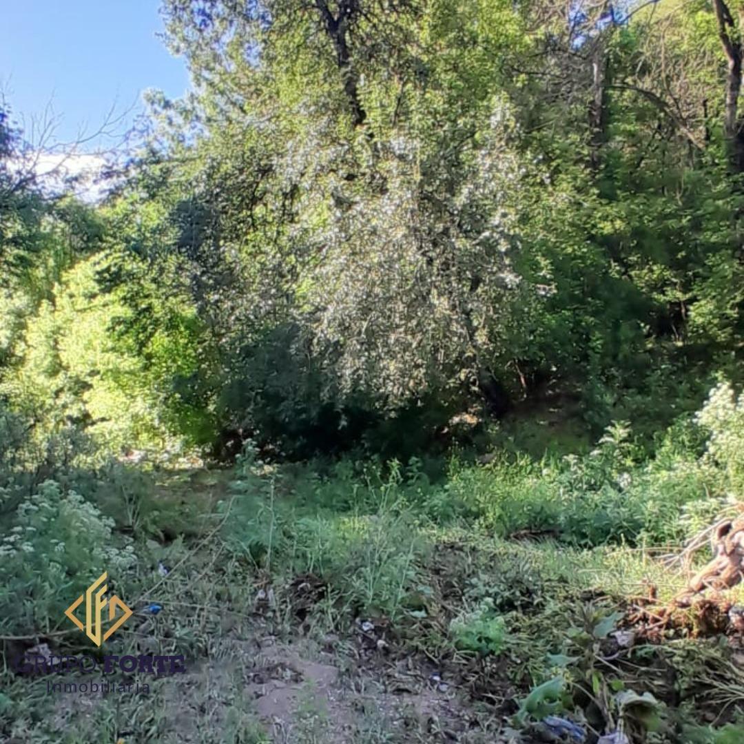 Lote en El Pueblito a 200 m de La Ruta E - 53 4