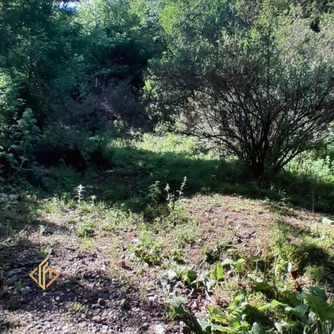 Lote en El Pueblito a 200 m de La Ruta E - 53 3