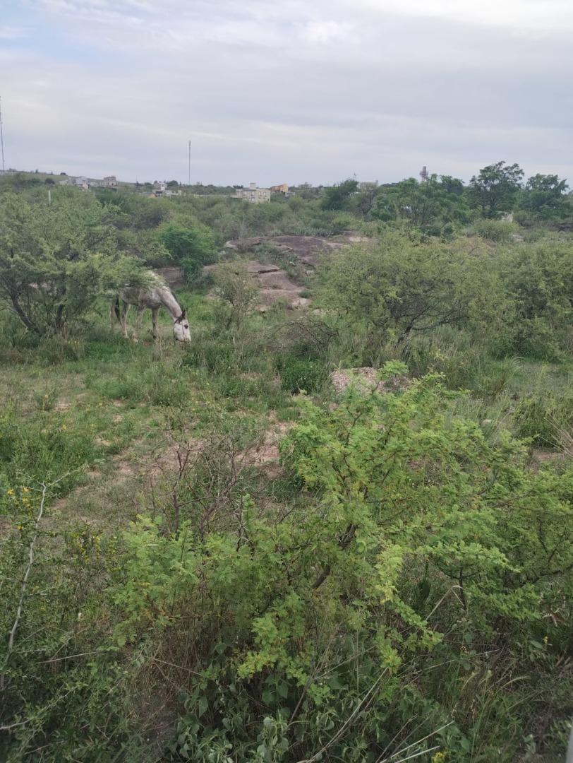 Terreno con Escritura en Venta en Villa Parque Siquiman, Cba 4