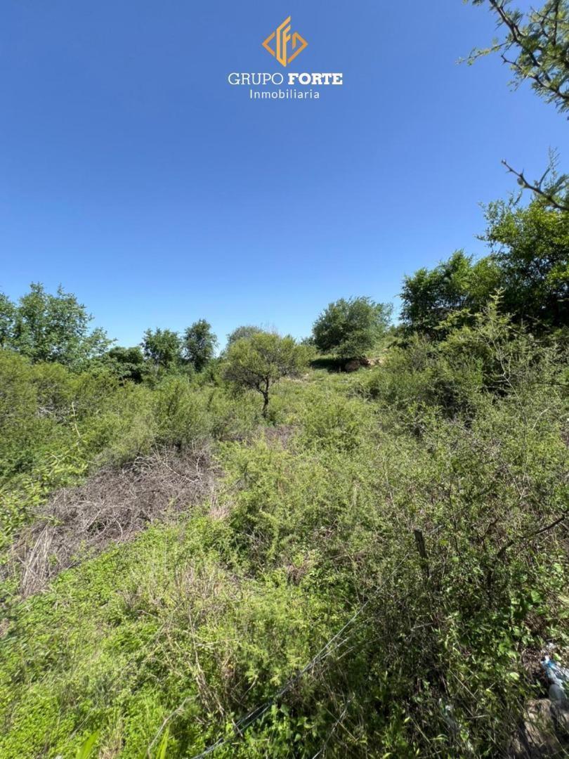 Lote en Venta en Villa Parque Siquiman 5
