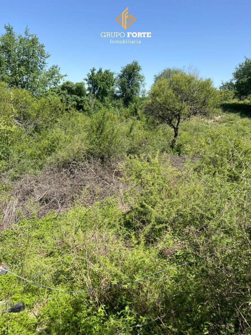 Lote en Venta en Villa Parque Siquiman 3
