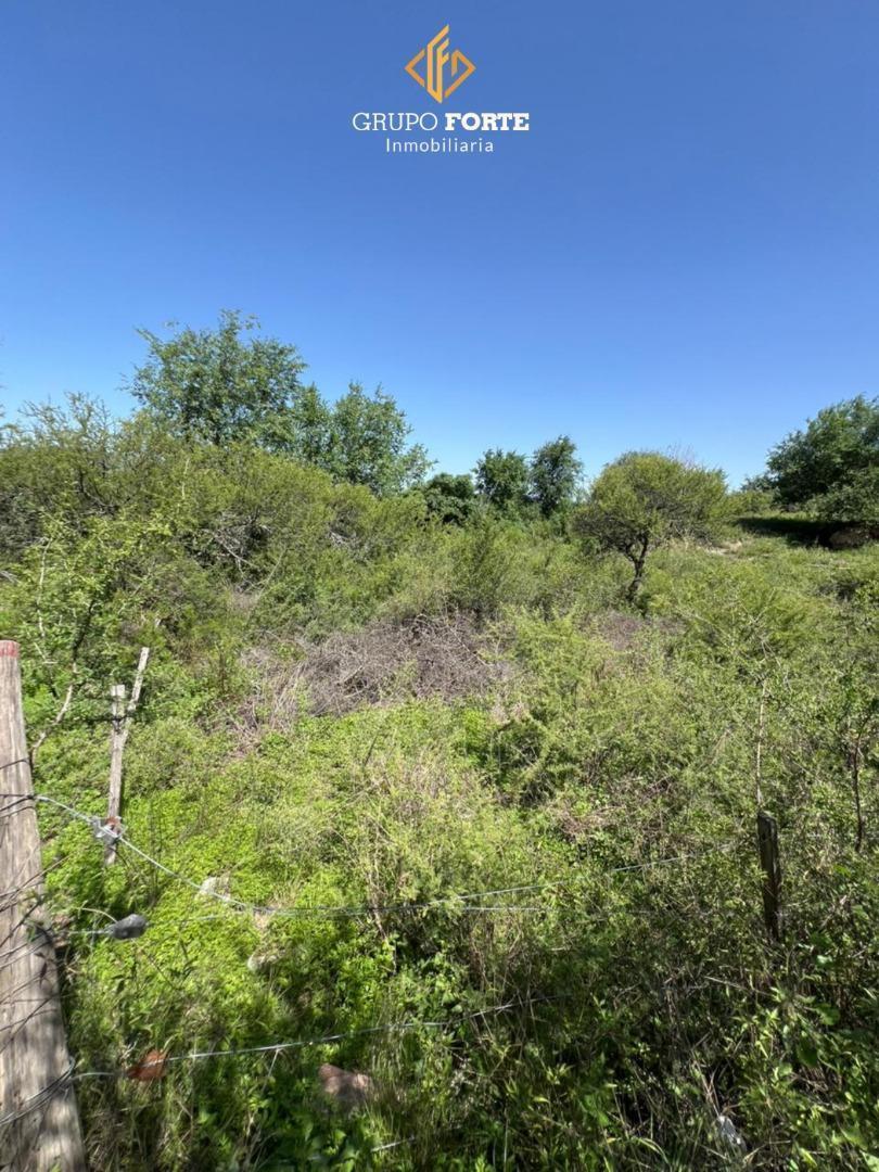 Lote en Venta en Villa Parque Siquiman 1