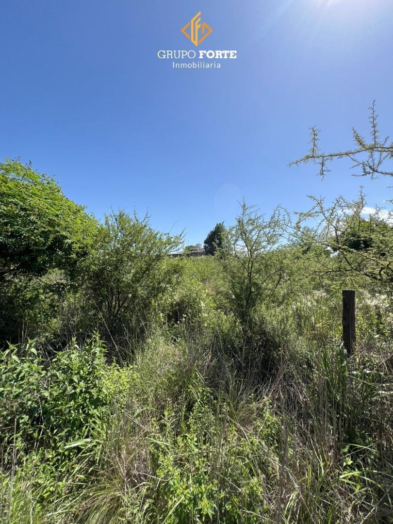 Lote en Venta Villa Parque Siquiman 4