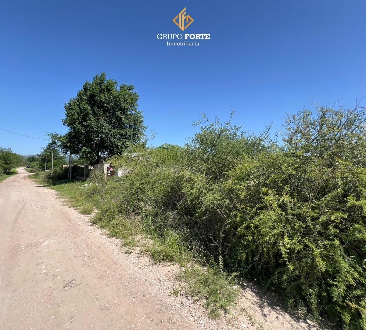 Lote en Venta Villa Parque Siquiman 2