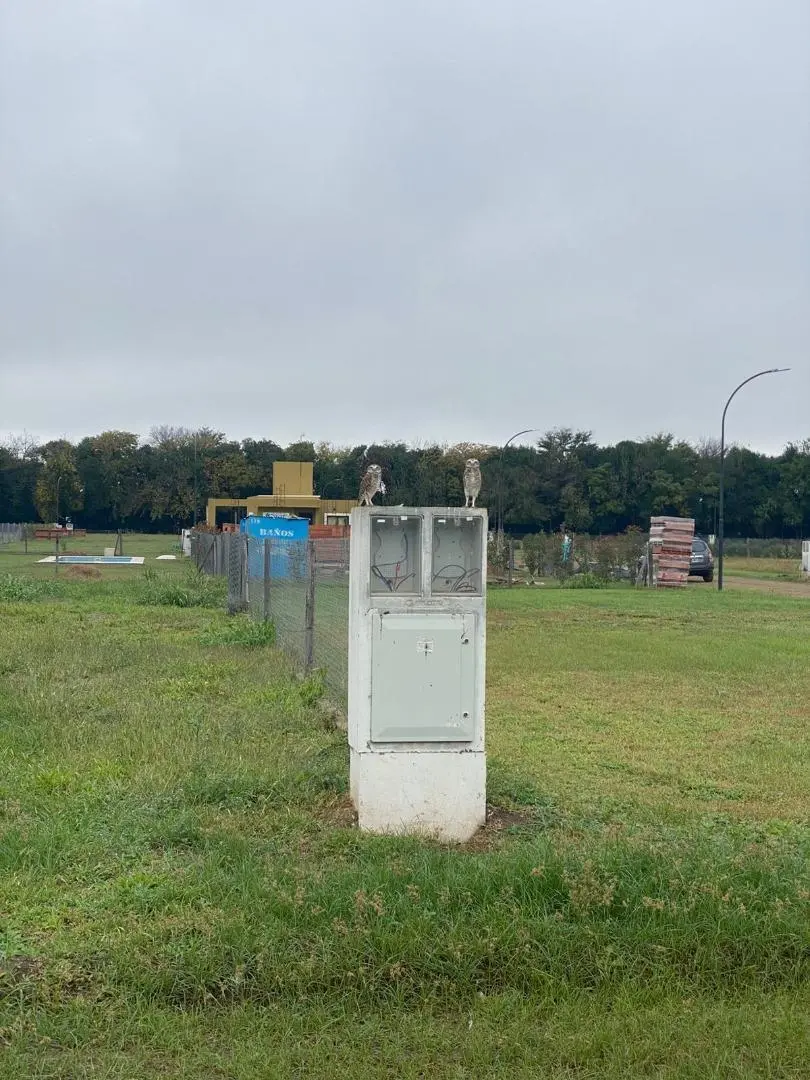 Oportunidad de inversion, lotes en pozo . Villa Esquiu 4