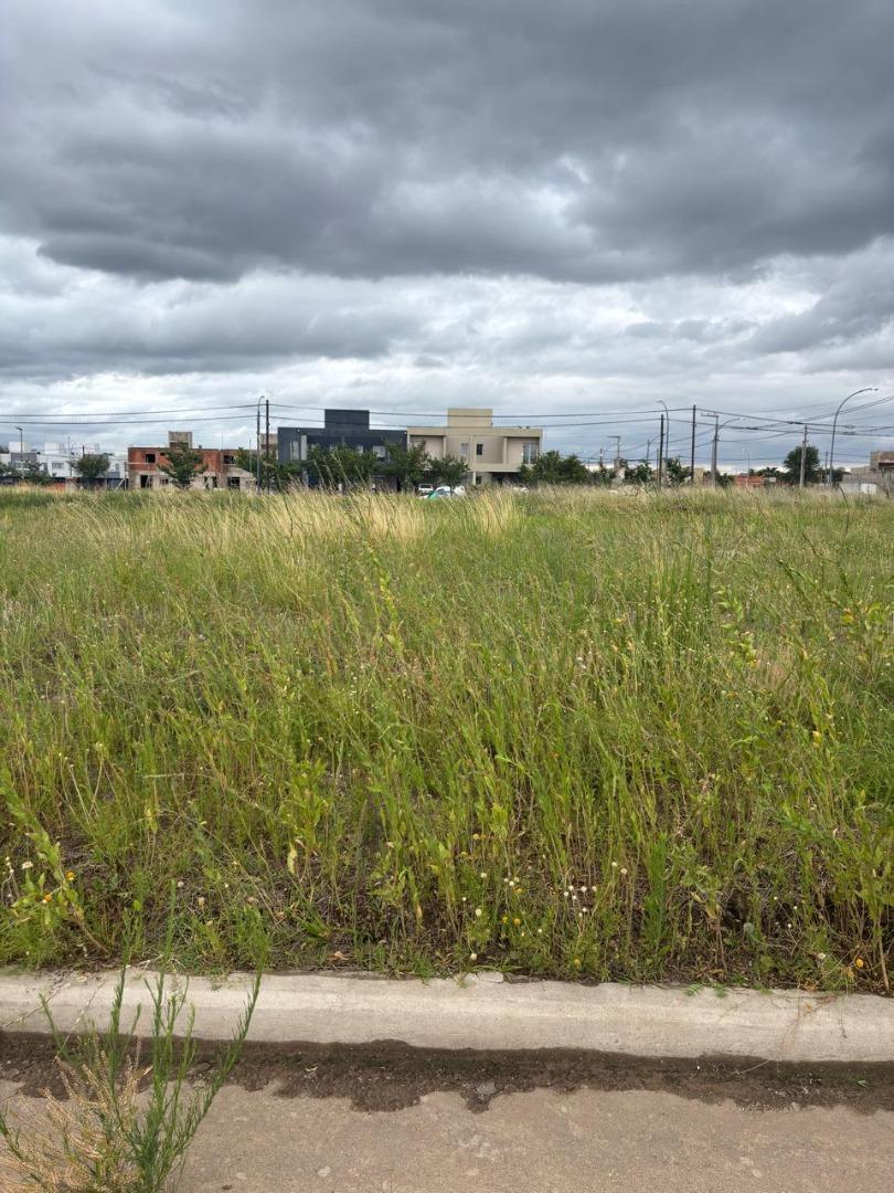 Foto de Lote en venta - Zona Norte Barrio Norte 1, imagen 2