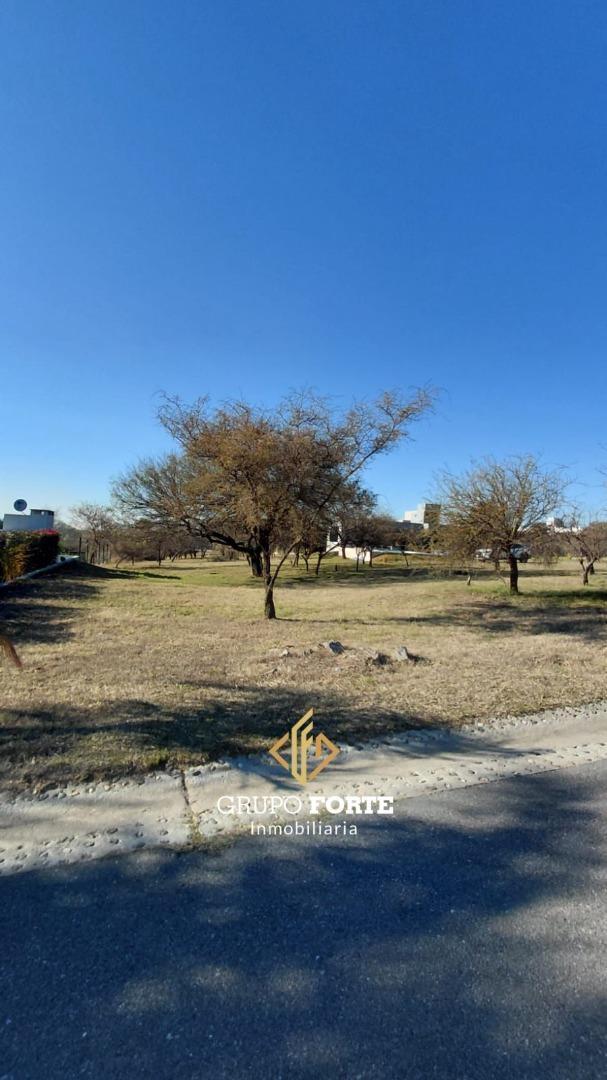 Foto de Lote venta La Arbolada Hollywood con escritura, imagen 3