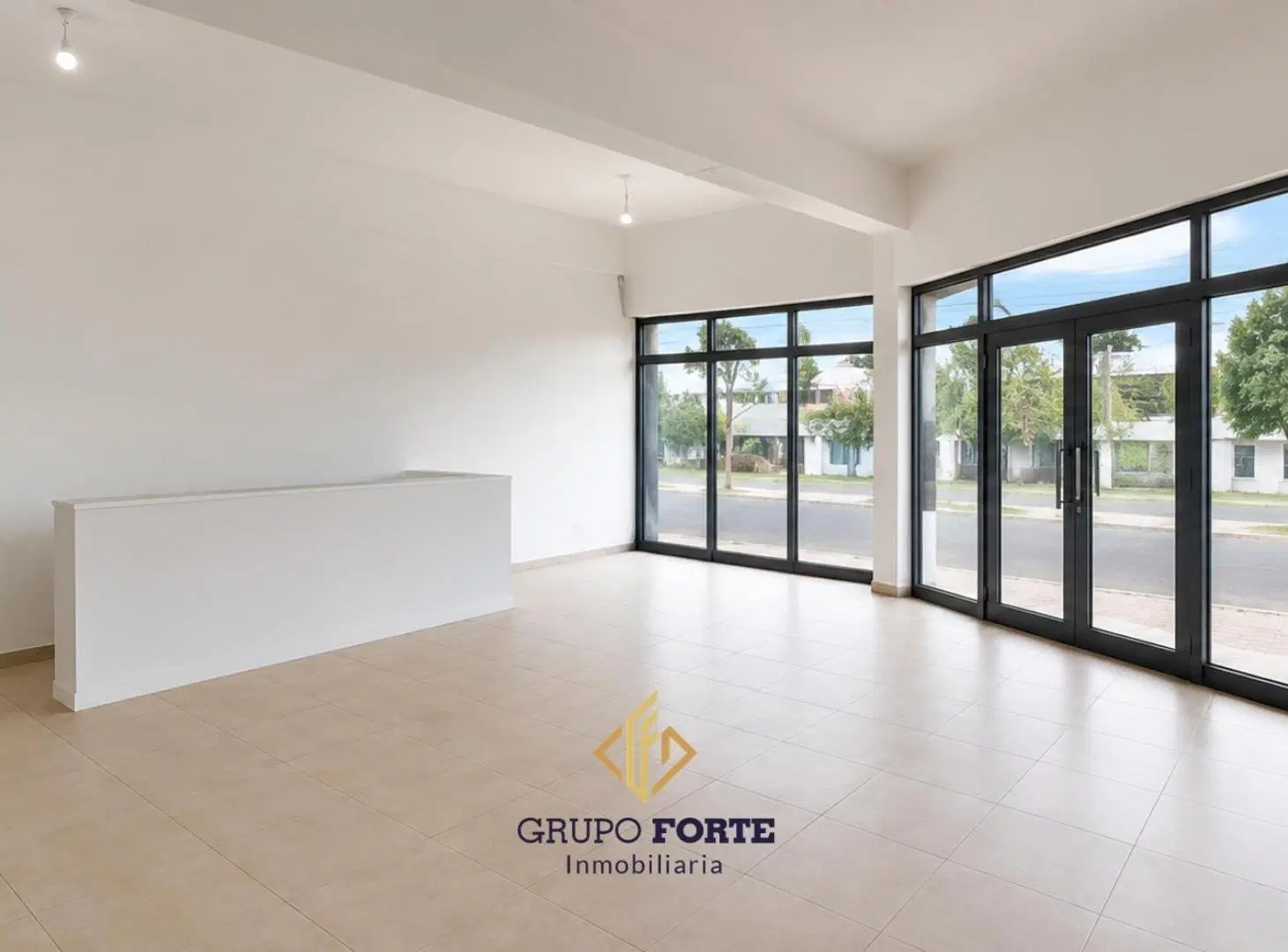 VENTA LOCAL ESQUINA EN SAN VICENTE 4