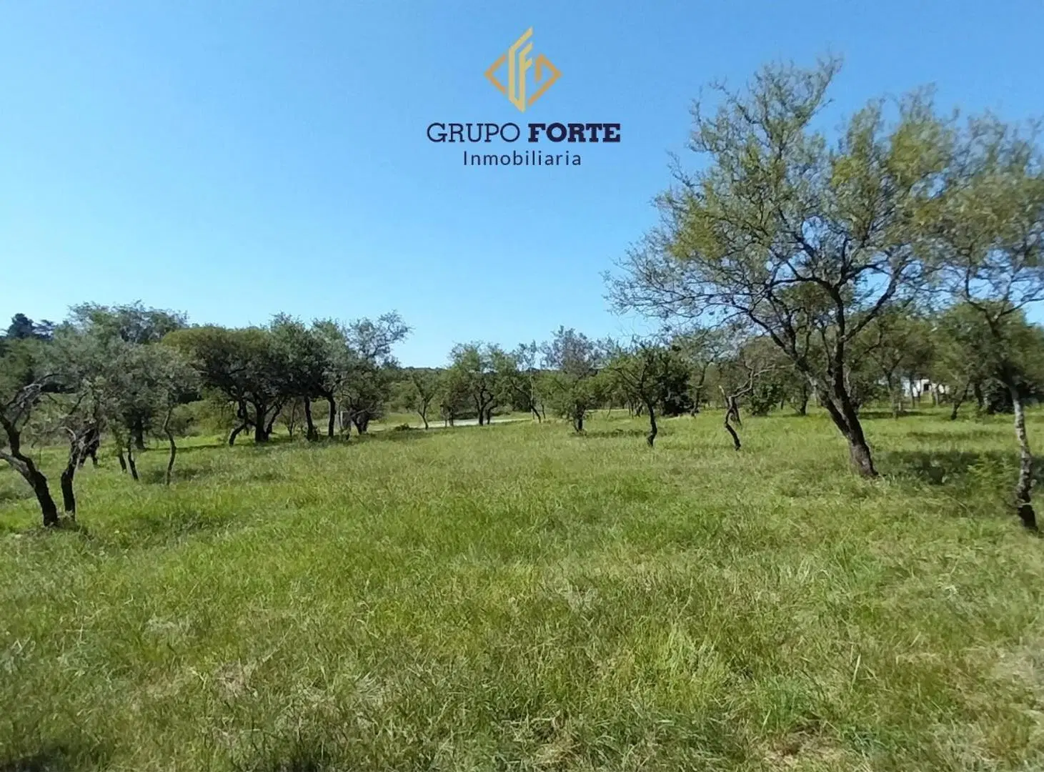 EXCLUSIVO LOTE EN VENTA El GOLF, ALTA GRACIA 4