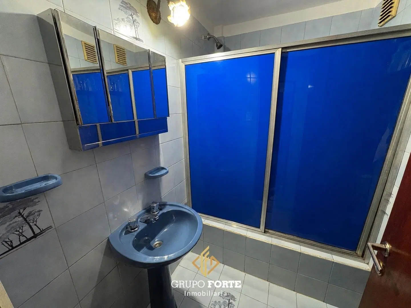 DEPARTAMENTO EN VENTA  ALBERDI 5