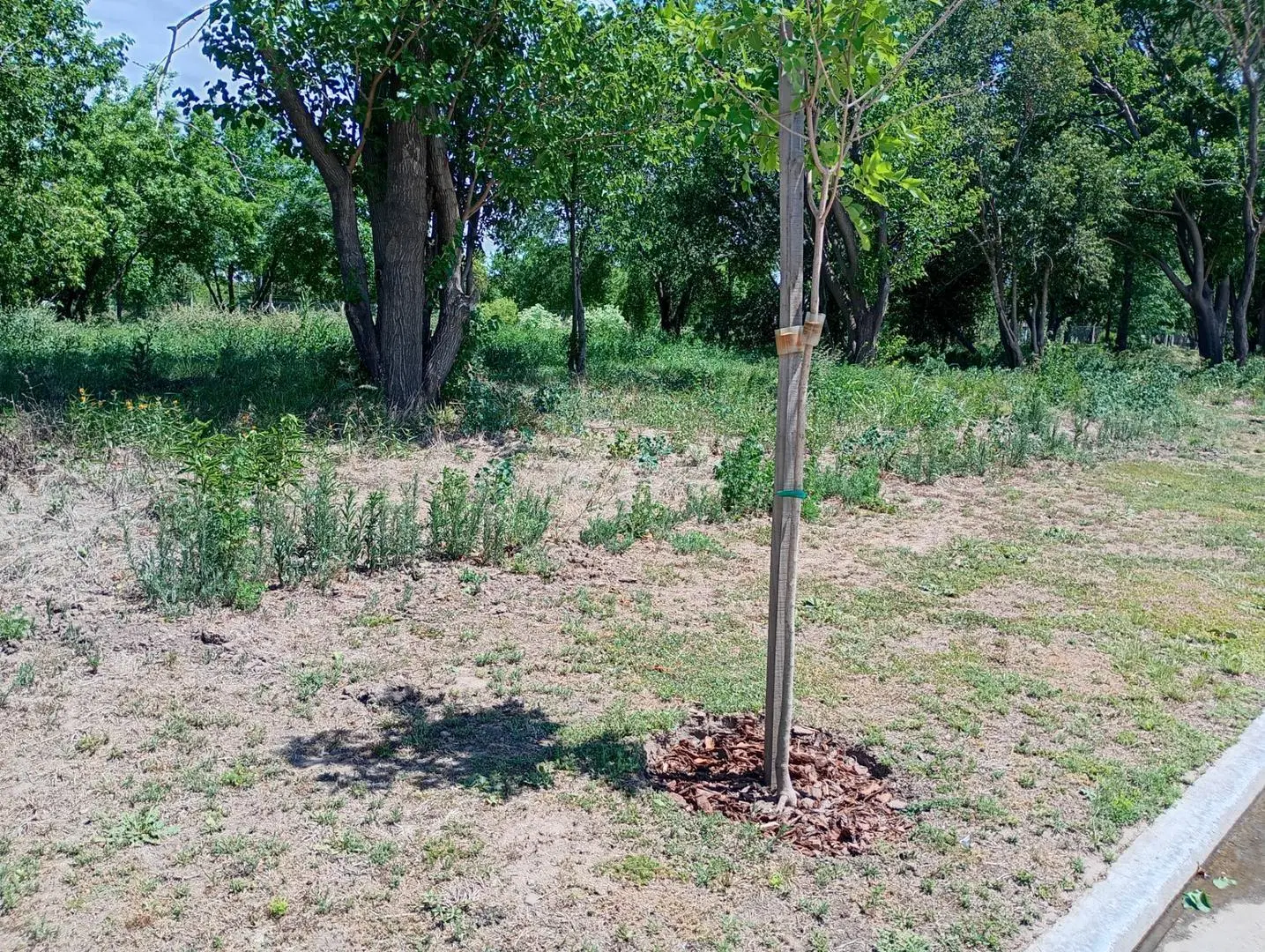 Lote residencial a la venta en Nuevo Malagueño. 3