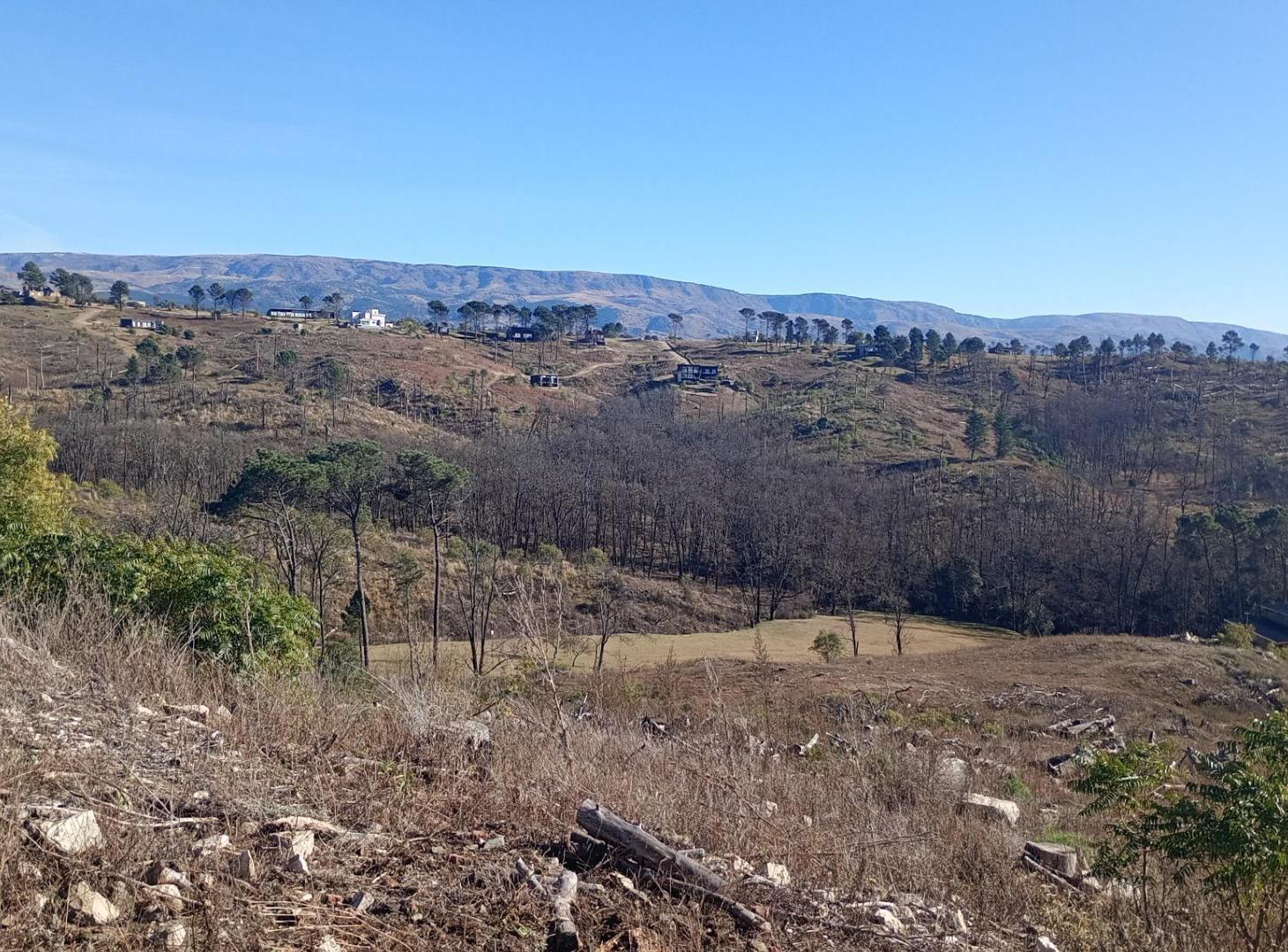 Foto de Lore en Potrerillo, Pueblo de Montaña en Potrero de Garay., imagen 3