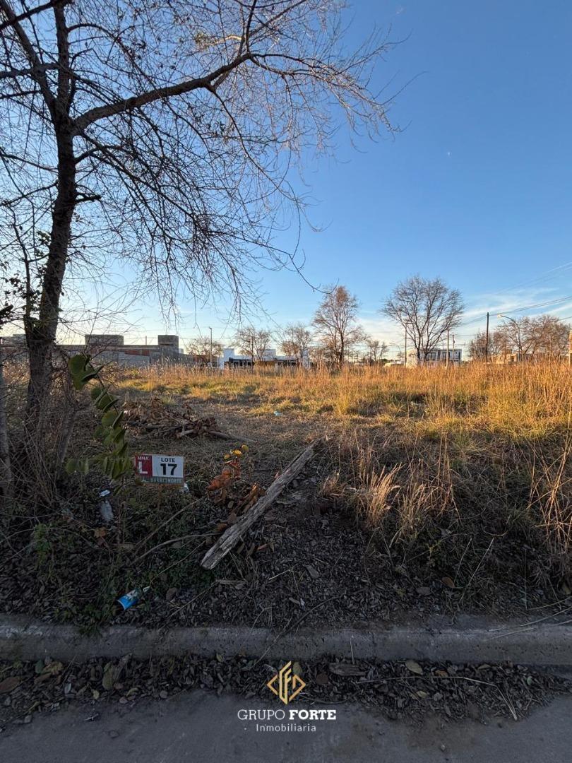 Foto de Lote en Venta - Barrio Norte 1, imagen 5