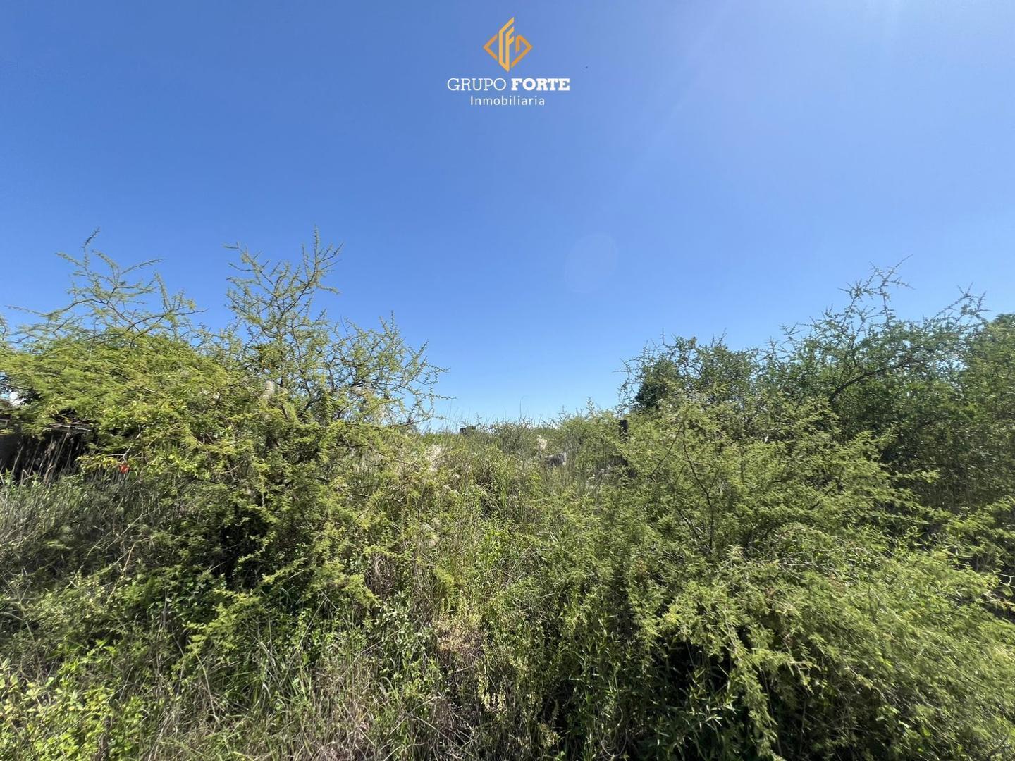 Foto de Lote en venta Villa Parque Siquiman, imagen 5