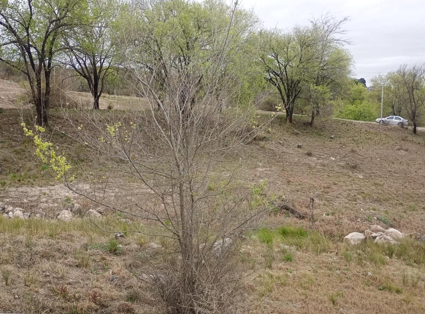 Foto de Lote en venta en Country Altos de Carlos Paz., imagen 4