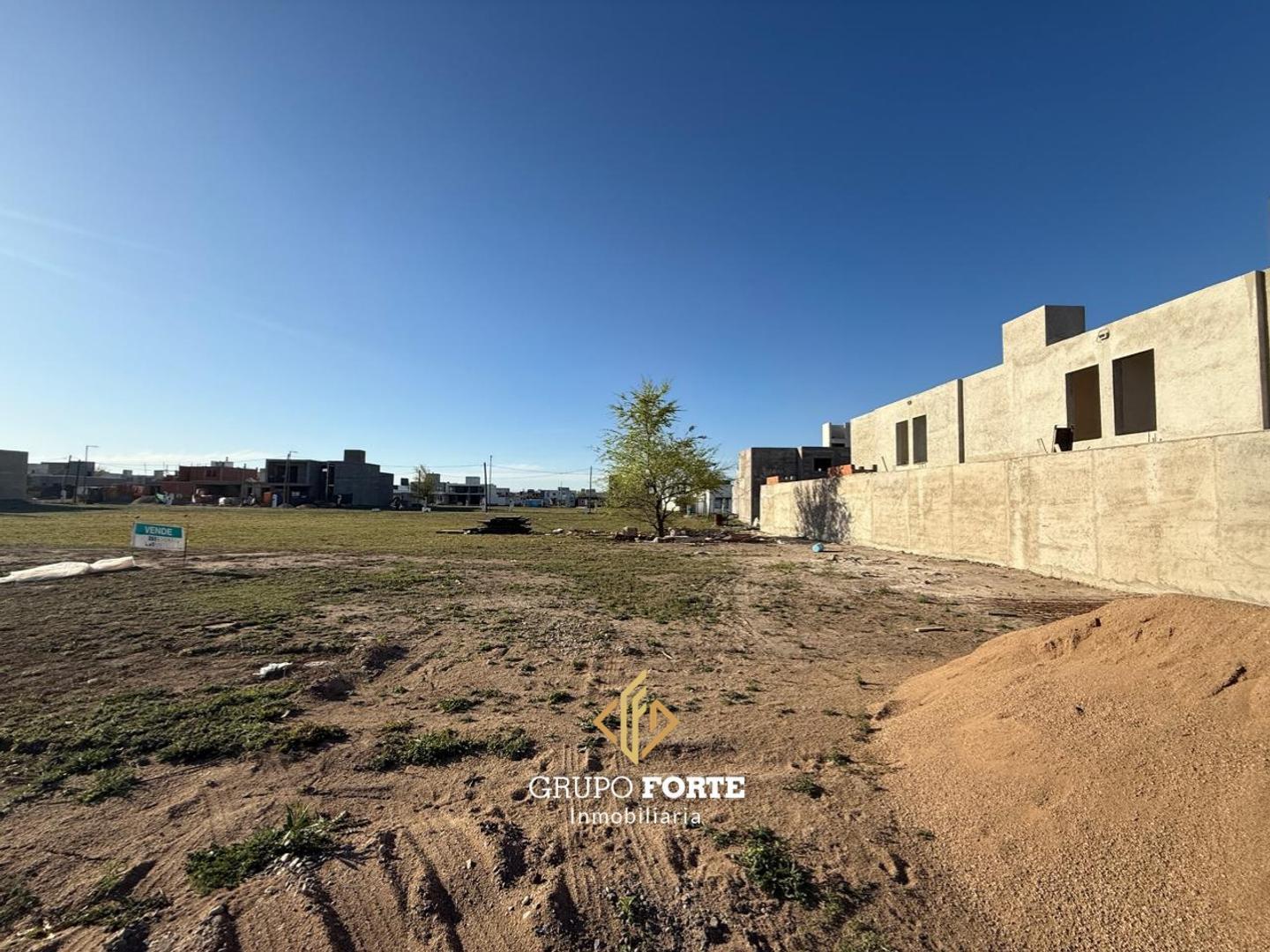 Foto de Lote en venta DOCTA, imagen 5