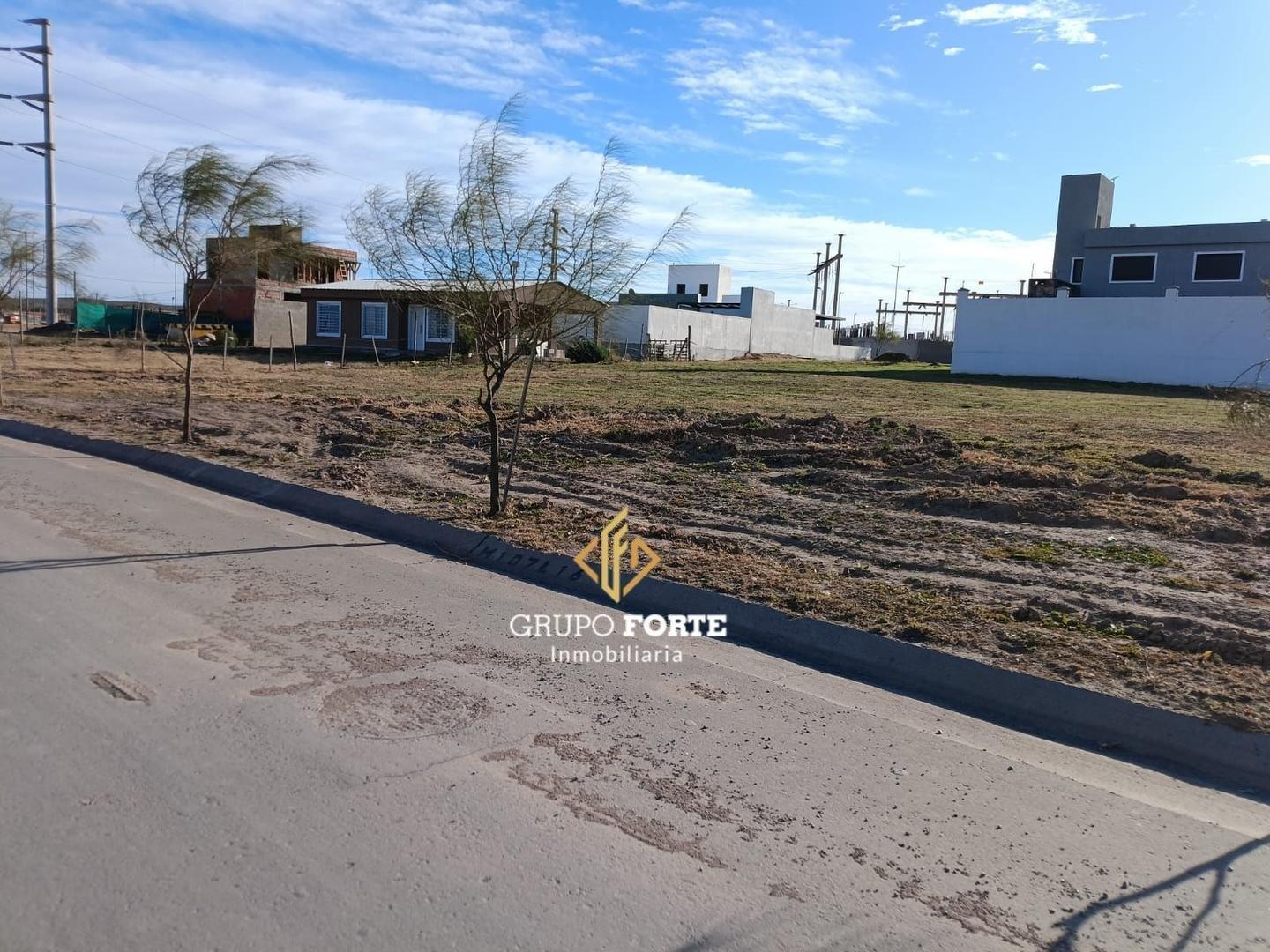 Foto de LOTE EN DOCTA AVENIDA, imagen 2