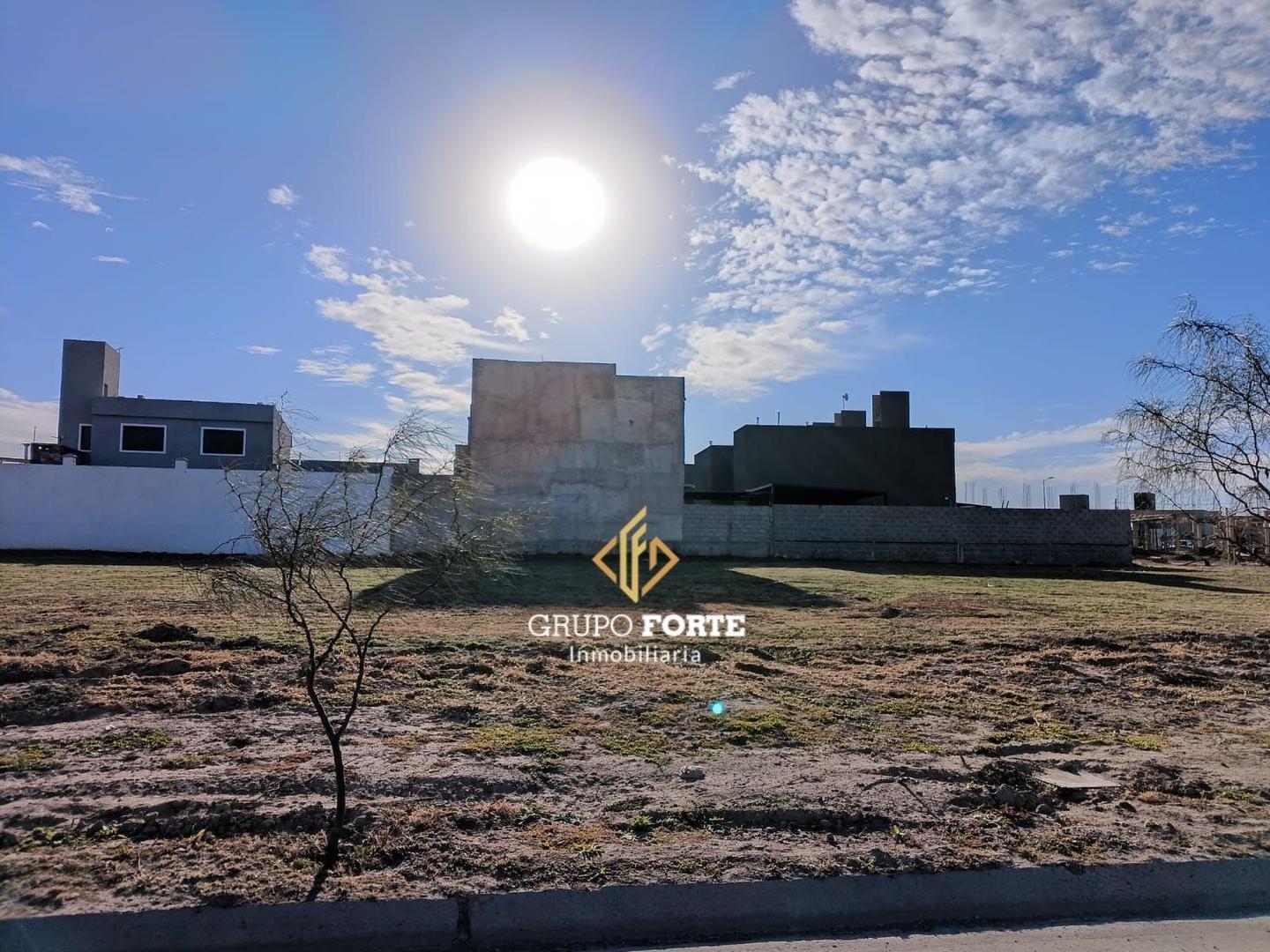 Foto de LOTE EN DOCTA AVENIDA, imagen 5