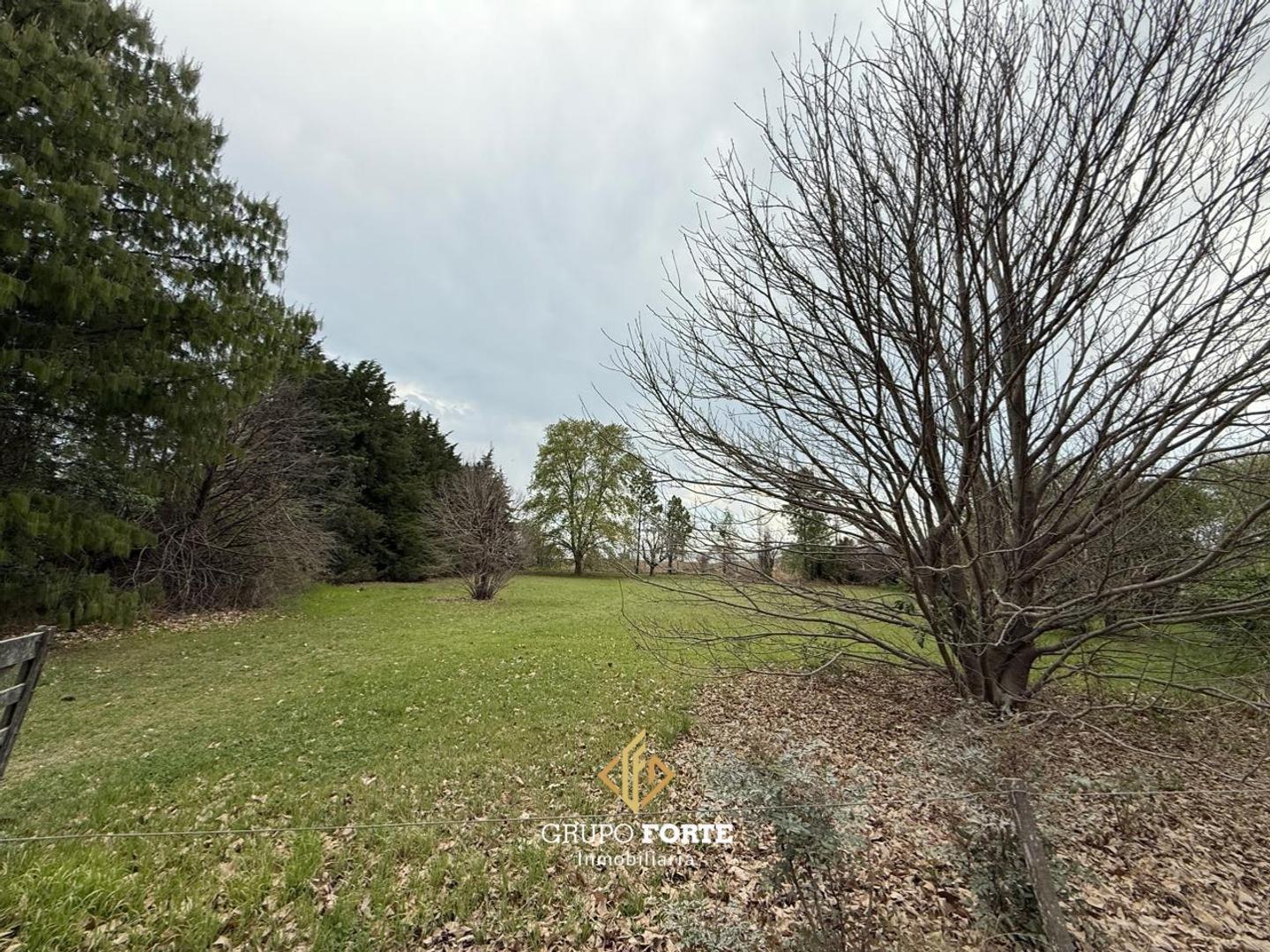 Foto de Terreno en venta- Campos del Virrey, imagen 5