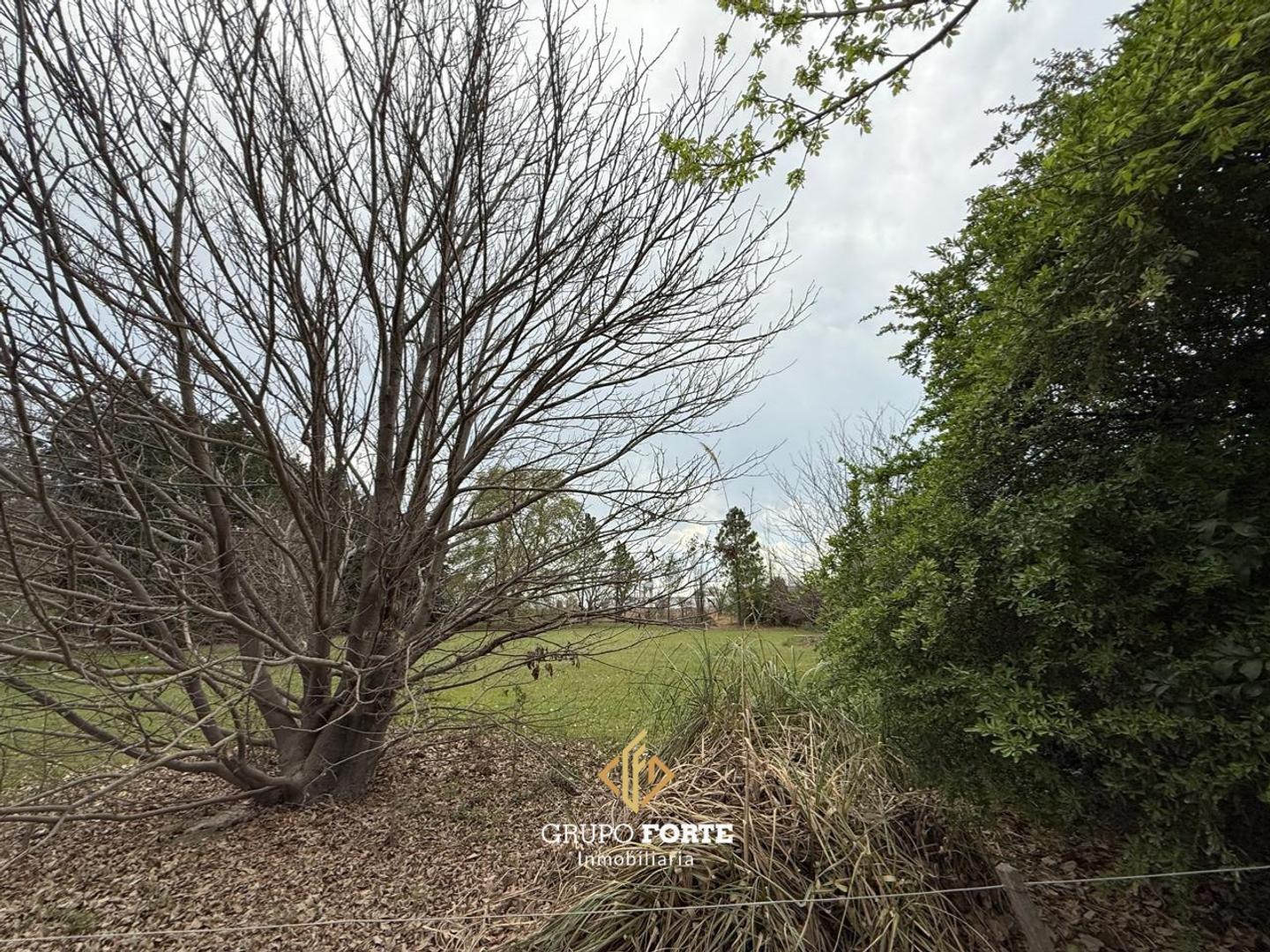 Foto de Terreno en venta- Campos del Virrey, imagen 2