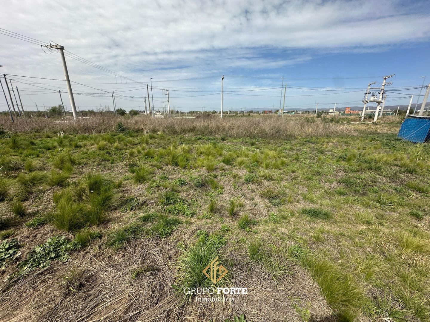 Foto de LOTE PROHAS 1, ALTA GRACIAS, imagen 4
