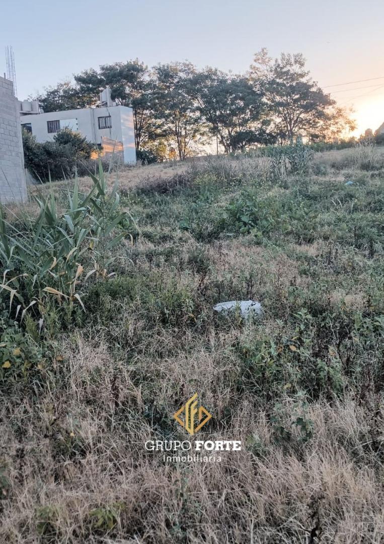 Foto de Lote en Lomas del Chateau, imagen 3