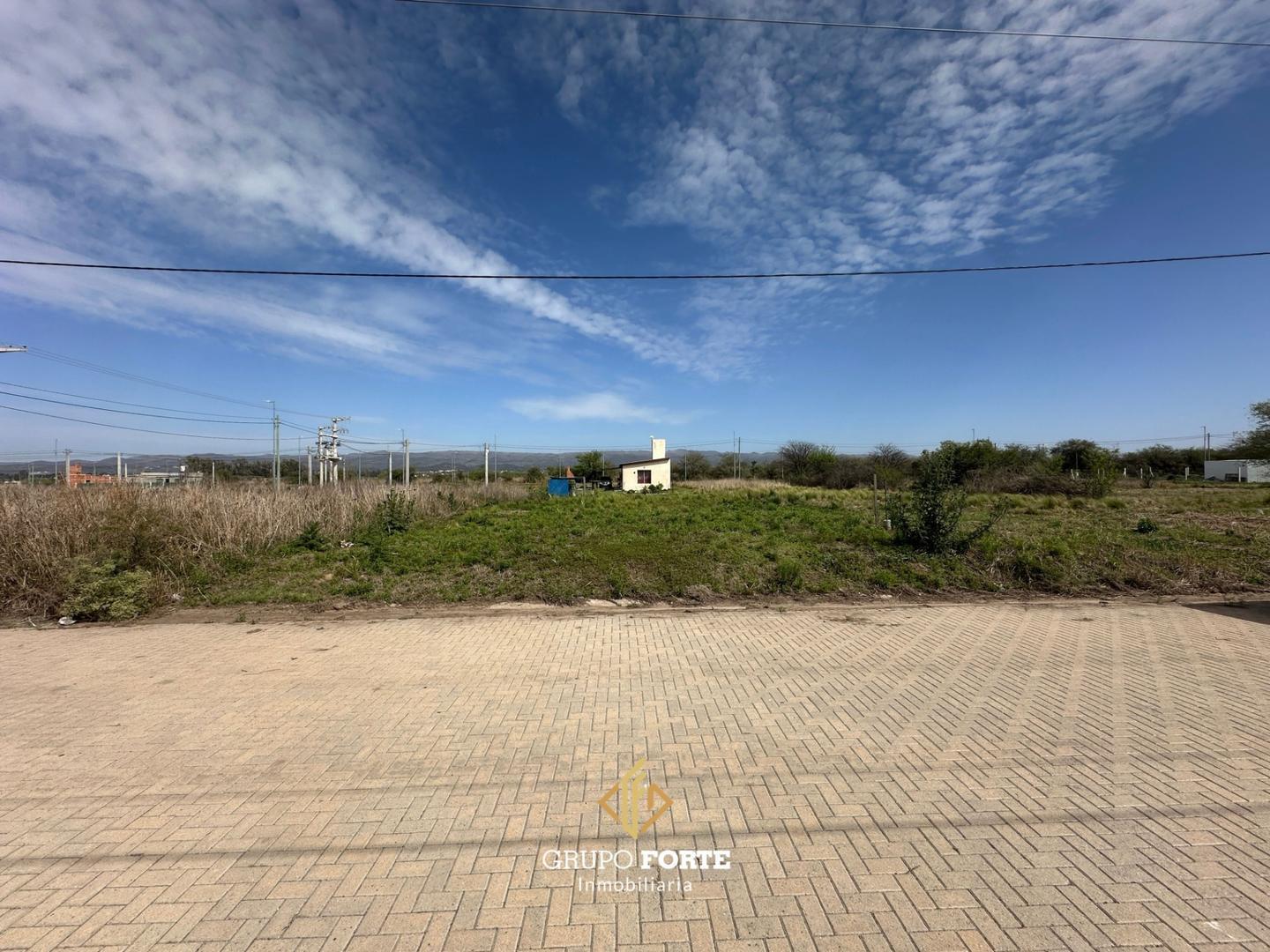 Foto de LOTE PROHAS 1, ALTA GRACIAS, imagen 2